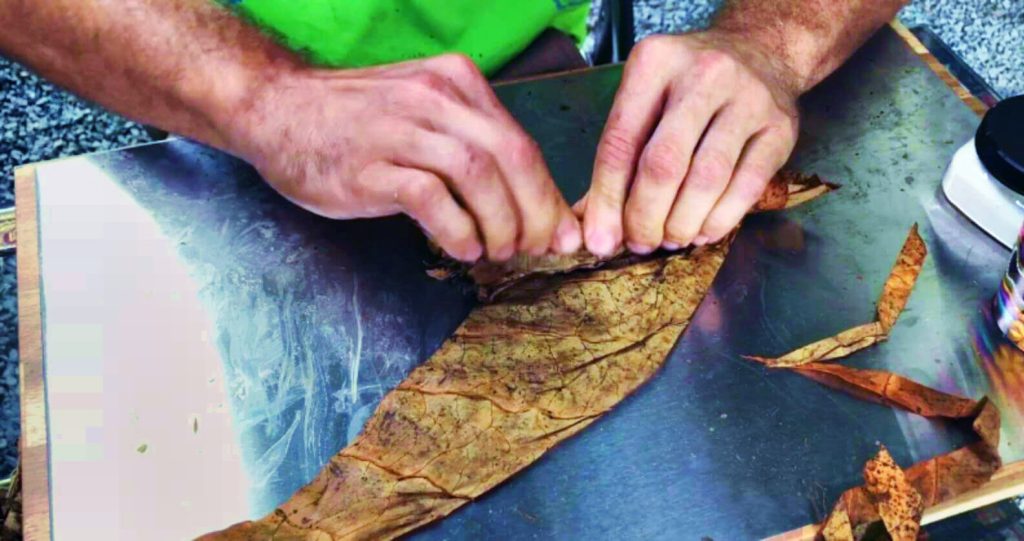 Оцените мастерство ремесленника, тщательно изготавливающего сигары на местной пуэрториканской фабрике